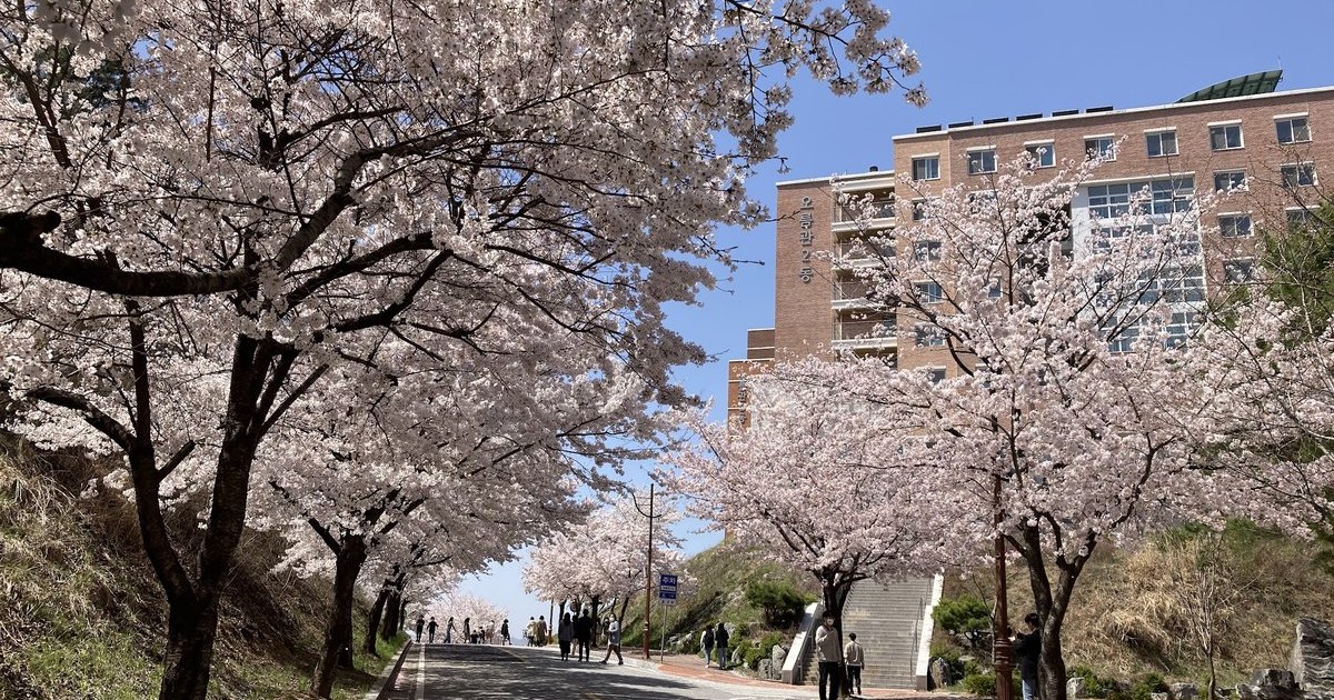 [2026] Kumoh National Institute of Technology | KR Campus